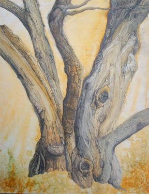 Click here to view Knots by Linda Clowes Murray