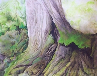 Click here to view Reaching Maturity by Linda Clowes Murray