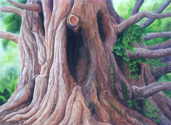 Click here to view Sanctuary by Linda Clowes Murray