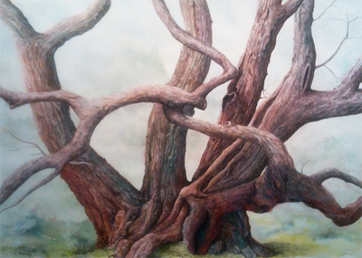 Click here to view Spring Blush by Linda Clowes Murray