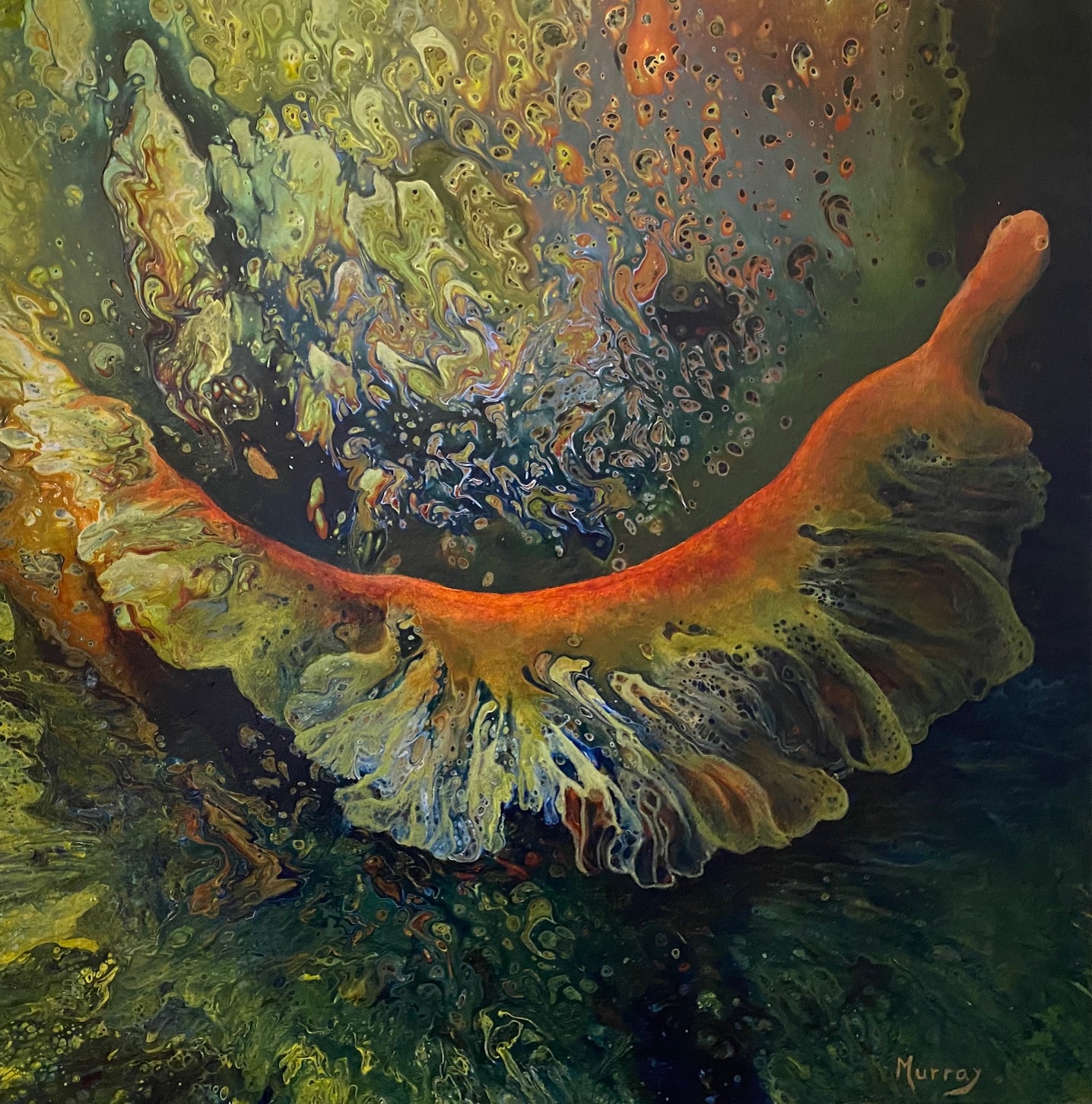 Click here to view The Frilled Wanderer by Linda Clowes Murray