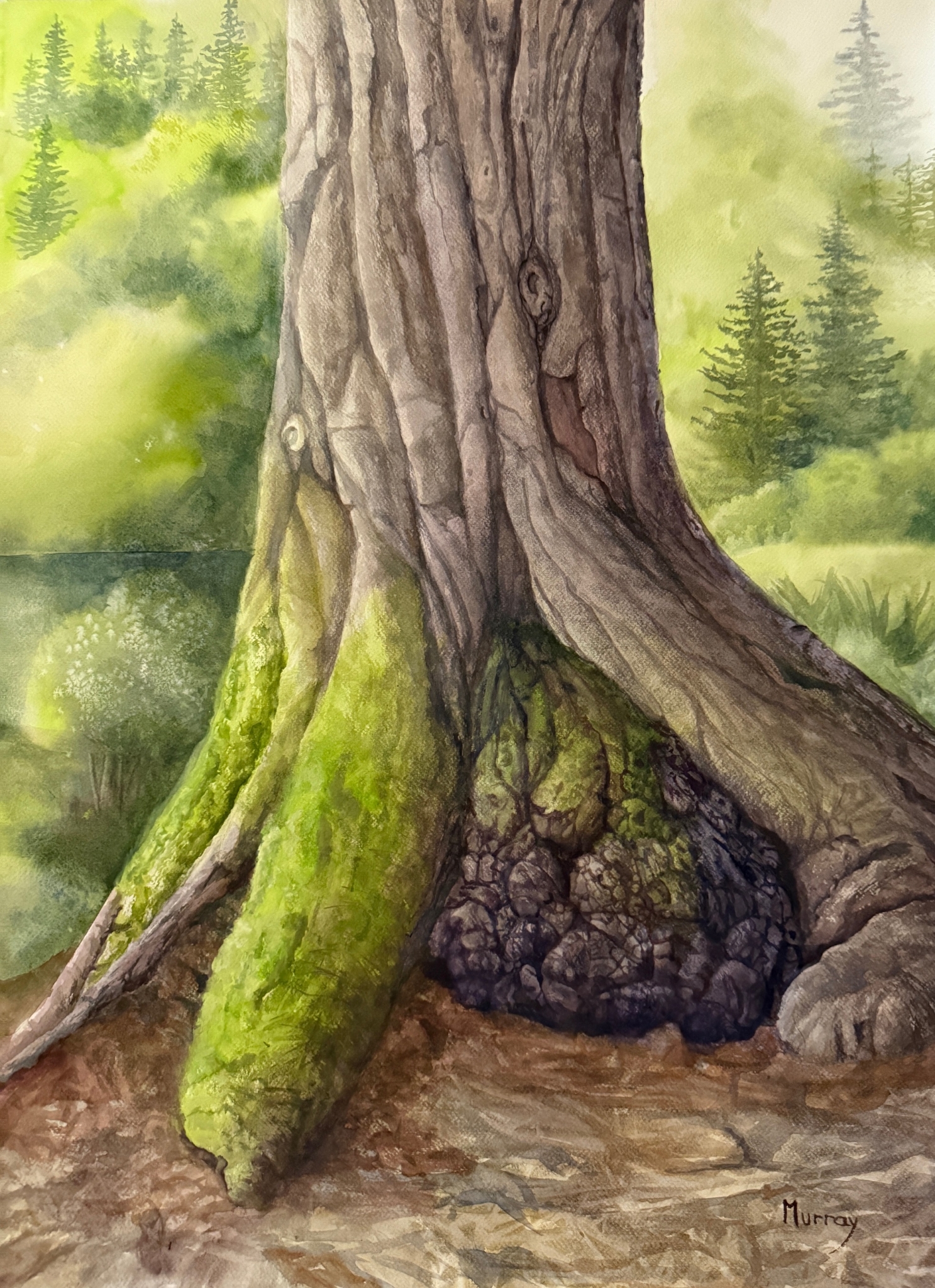 Click here to view Whispers of the Woods by Linda Clowes Murray