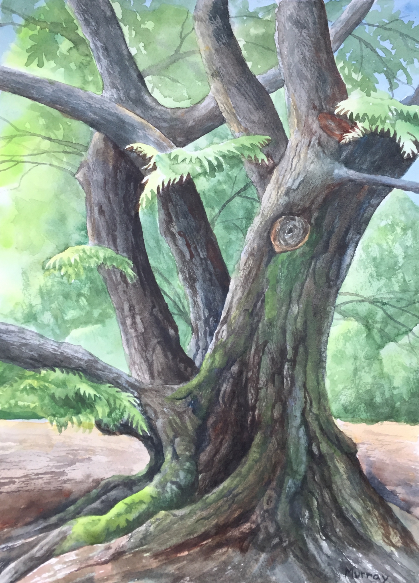 Click here to view The Slow Language of Trees by Linda Clowes Murray