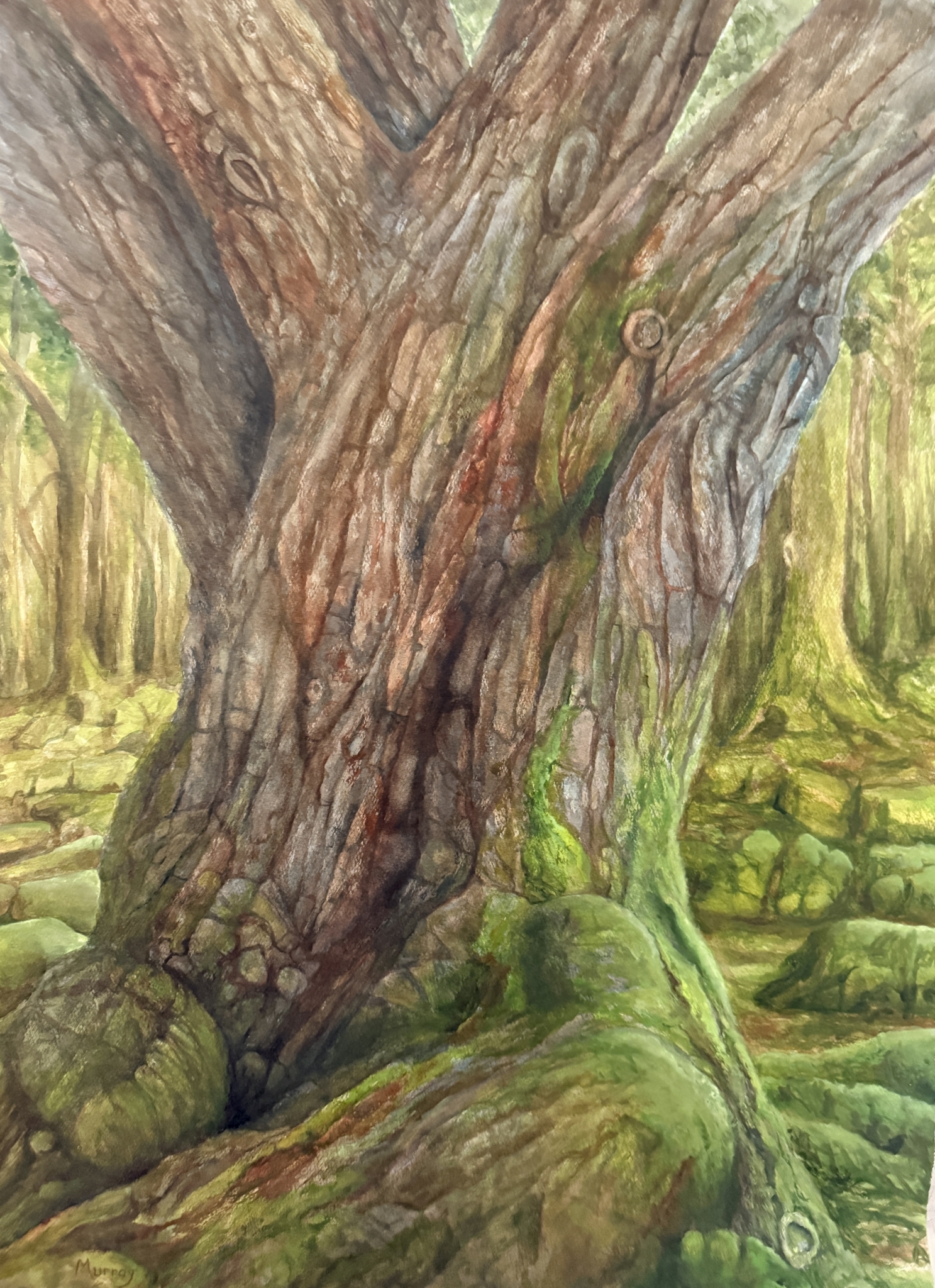 Elder Grove by Linda Clowes Murray